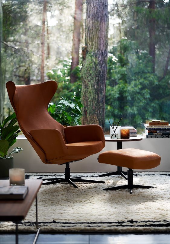 Striad Lounge Chair with ottoman