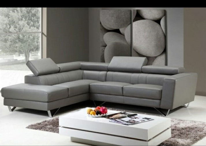 Caracol Leather Sectional sofa