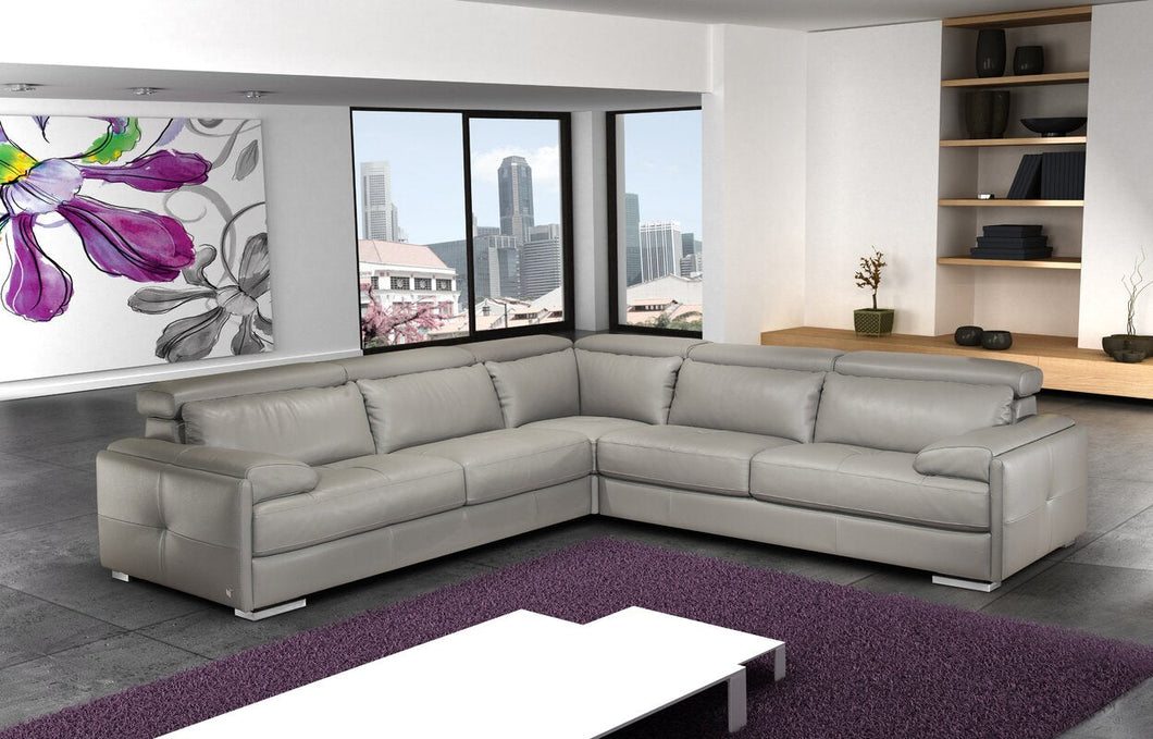 Cantor Leather Sectional Sofa